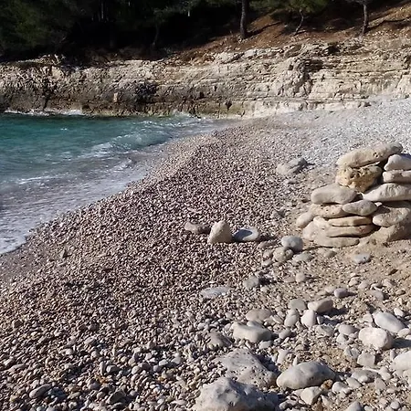 Green Garden Lejlighed