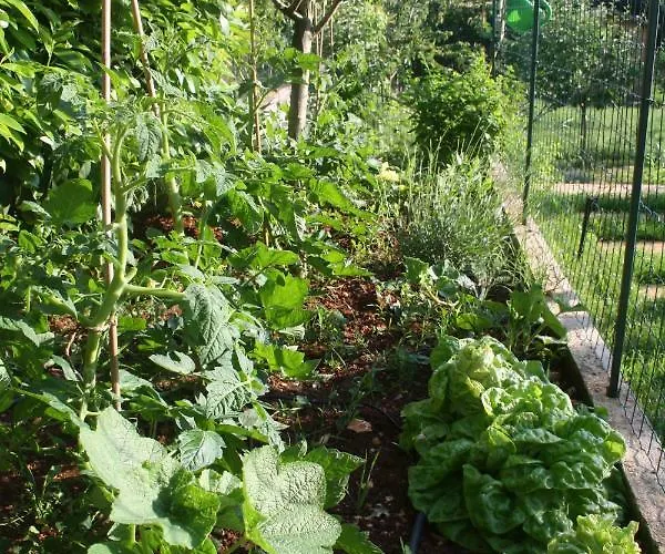 Apartament Green Garden Pula